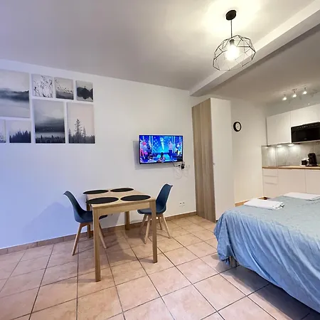 Appart'village Le Vieux Centre T1,t2,t3 - Parking - Thermes * Vichy