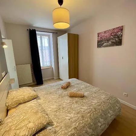 Appartement Appart'village Le Vieux Centre T1,t2,t3 - Parking - Thermes Vichy